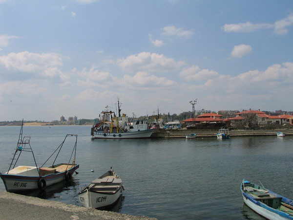 Image 05